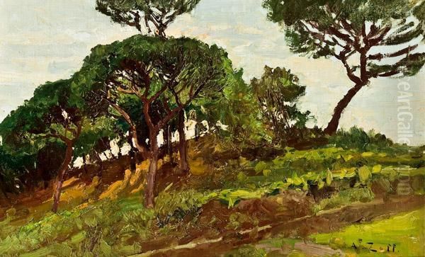 Testri - Levante * Oil Painting by Alfred Zoff