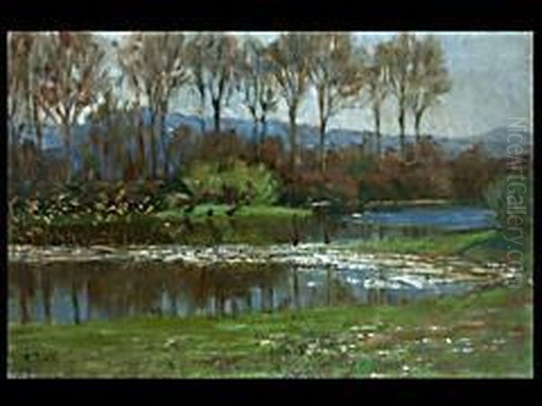 Landschaft Bei Graz Oil Painting by Alfred Zoff