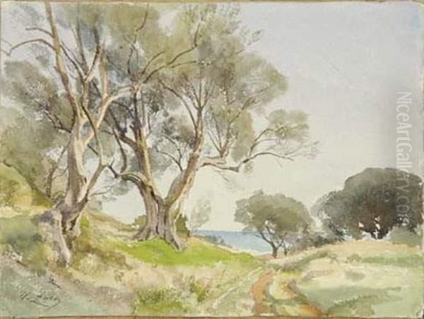 Les Oliviers Au Cap D'antibes Oil Painting by Jean Henri Zuber