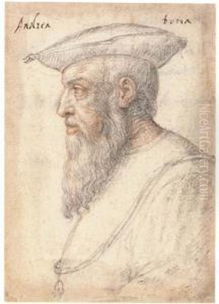 Portrait Of Andrea Doria In Profile To The Left, Wearing The Orderof The Golden Fleece Oil Painting by Federico Zuccaro