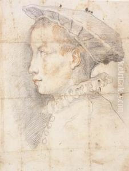 Portrait Of A Young Boy Wearing A Hat, Bust-length, In Profile Tothe Left Oil Painting by Federico Zuccaro