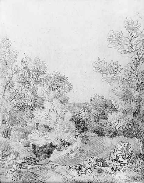 Study of a track through a wooded landscape Oil Painting by Thomas Gainsborough