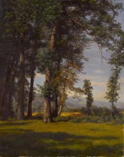 Sommerlandschaft - Eichwaldlichtung Oil Painting by Robert Zund