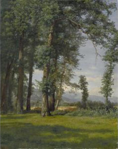 Sommerlandschaft (eichwaldlichtung) Oil Painting by Robert Zund