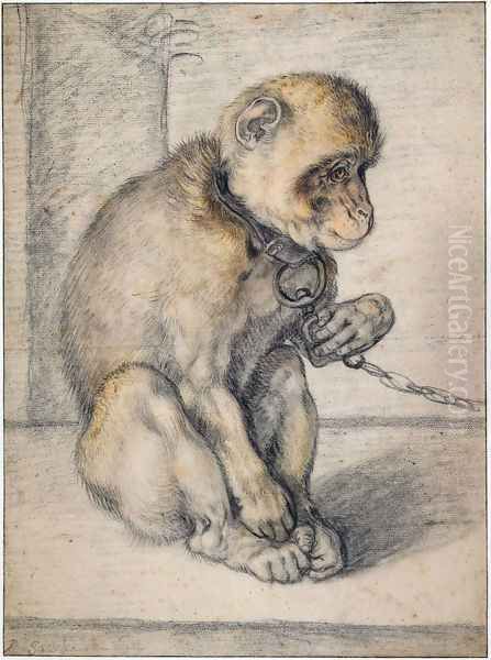 Monkey on a chain, seated Oil Painting by Hendrick Goltzius