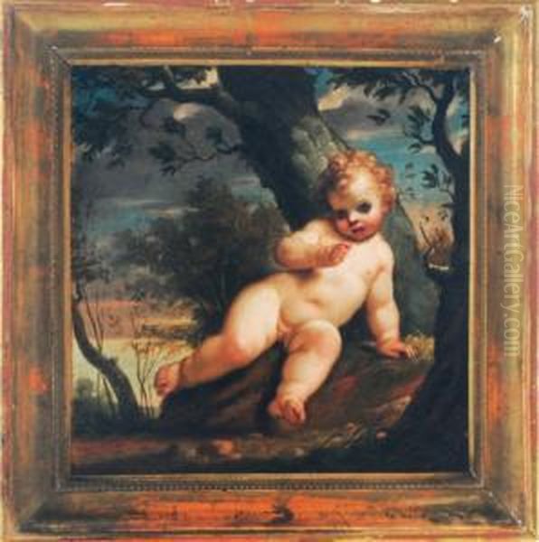 A Putto In A Forest Oil Painting by Francesco Albani