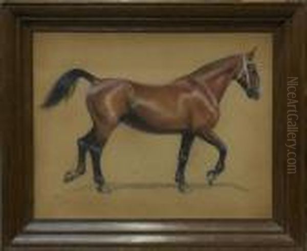 Bay Horse Oil Painting by Cecil Charles Aldin