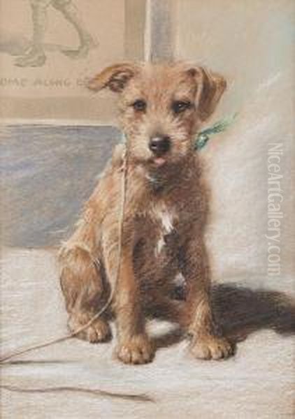 Caffy - An Irish Terrier Oil Painting by Cecil Charles Aldin