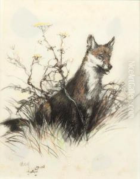 Fox In The Undergrowth Oil Painting by Cecil Charles Aldin