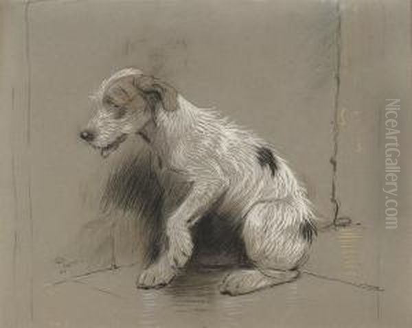 Study Of A Wire-haired Jack Russell Oil Painting by Cecil Charles Aldin