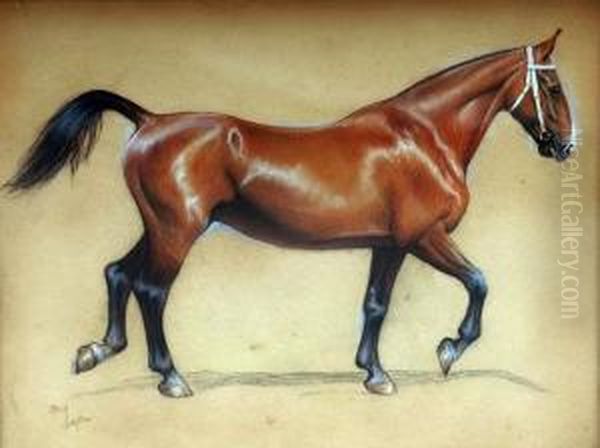 Study Of A Bay Hunter Trotting Oil Painting by Cecil Charles Aldin