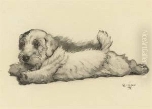 A Sealyham Puppy Stretching Oil Painting by Cecil Charles Aldin