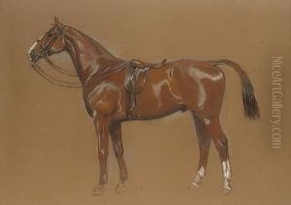 Liffey Bank: A Chestnut Hunter Oil Painting by Cecil Charles Aldin