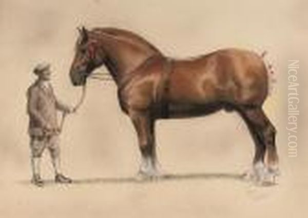 A Suffolk Punch And His Groom Oil Painting by Cecil Charles Aldin