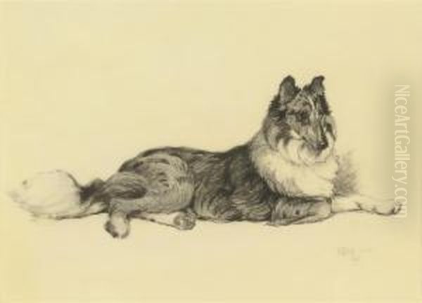 A Collie Lying Down Oil Painting by Cecil Charles Aldin