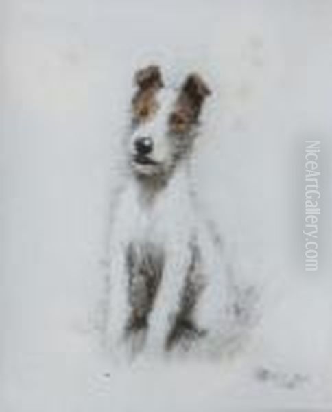 Study Of A Fox Terrier Oil Painting by Cecil Charles Aldin