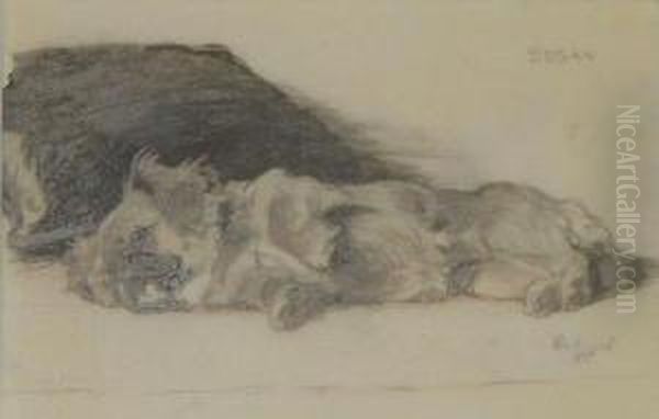 'susan': A Restingdog Oil Painting by Cecil Charles Aldin