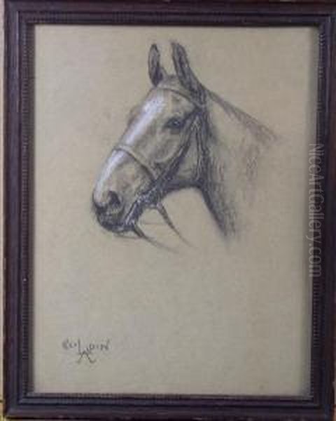 Portrait Of Horse'shead Oil Painting by Cecil Charles Aldin