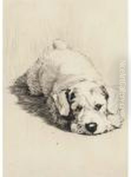 A Sealyham Puppy Oil Painting by Cecil Charles Aldin