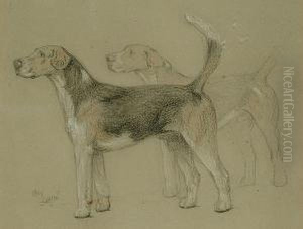 Study Of Hounds Oil Painting by Cecil Charles Aldin