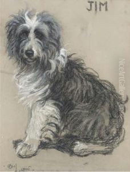 Jim, A Bearded Collie Oil Painting by Cecil Charles Aldin