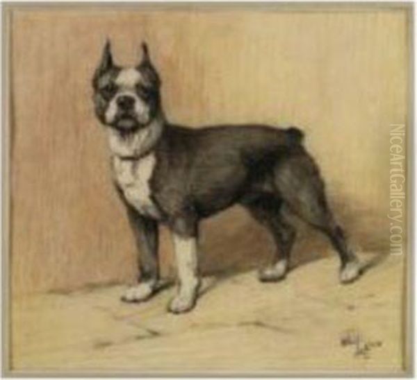 A Boston Terrier Oil Painting by Cecil Charles Aldin