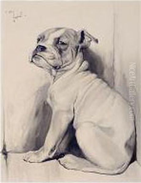 A Boxer Pup Oil Painting by Cecil Charles Aldin