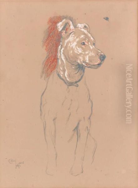 Study Of A Terrier Oil Painting by Cecil Charles Aldin