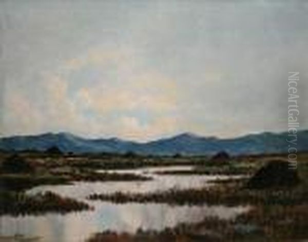 Flooded Boglands, Connemara Oil Painting by Douglas Alexander