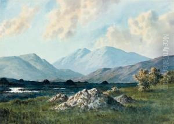 Maam, Connemara Oil Painting by Douglas Alexander