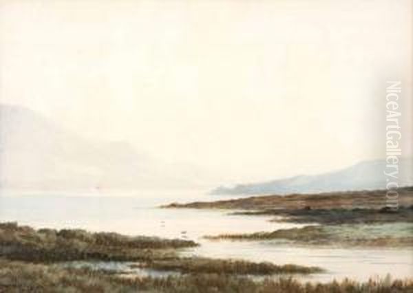 Port Of Dhu Lough 
Mayo Oil Painting by Douglas Alexander