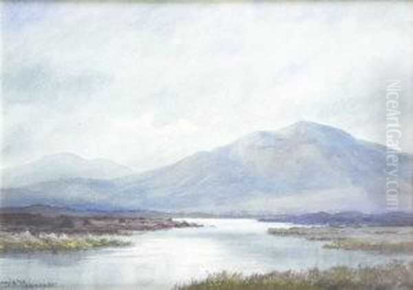 Morning Light, Near Recess, Connemara Oil Painting by Douglas Alexander