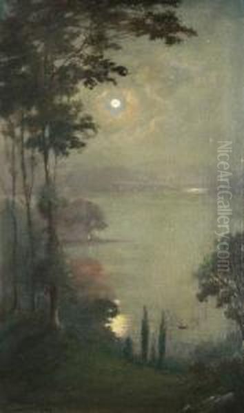 Moonlight Oil Painting by Douglas Alexander