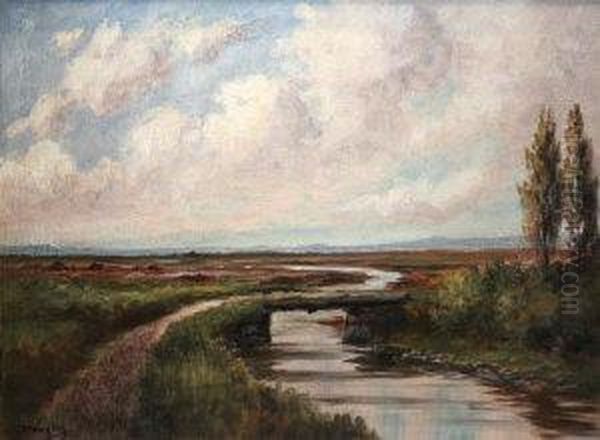 Near Ballinlough, Co Roscommon Oil Painting by Douglas Alexander