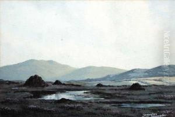 Bogland, Connemara Oil Painting by Douglas Alexander