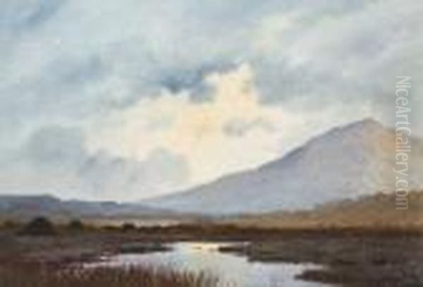 Among The Connemara Mountains Oil Painting by Douglas Alexander