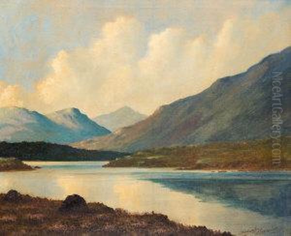 Lake Valley Landscape Oil Painting by Douglas Alexander