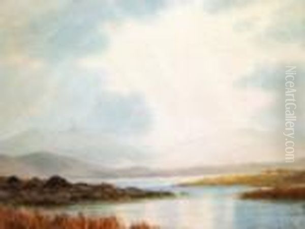 Showery Day, Co Kerry Oil Painting by Douglas Alexander