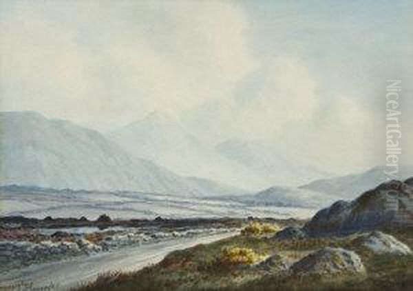 A Kerry Landscape And On The Road To Killorgin, Co. Kerry Oil Painting by Douglas Alexander