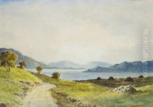 On Lough Corrib, Co. Galway Oil Painting by Douglas Alexander