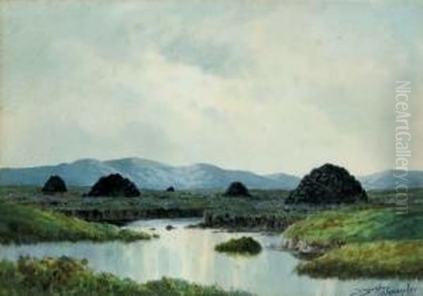 Boglands, Co. Donegal Oil Painting by Douglas Alexander