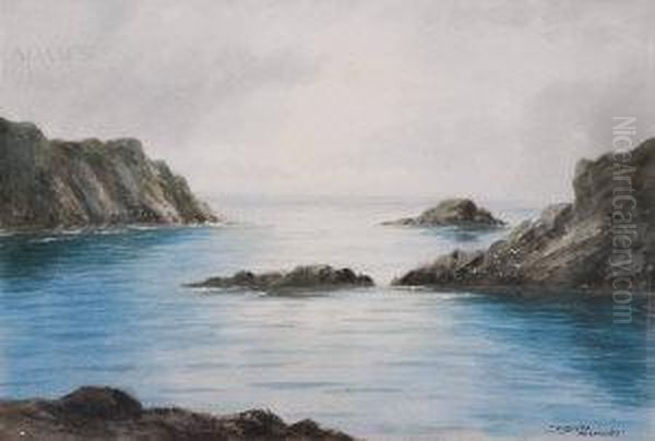 Rocky Coastal Waters Oil Painting by Douglas Alexander