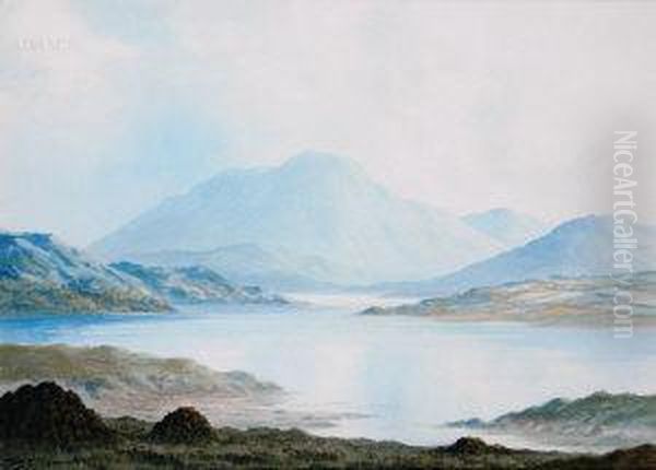 Near Ballinahinch, Connemara Oil Painting by Douglas Alexander