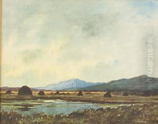 Turf Stacks In Bog Landscape Oil Painting by Douglas Alexander