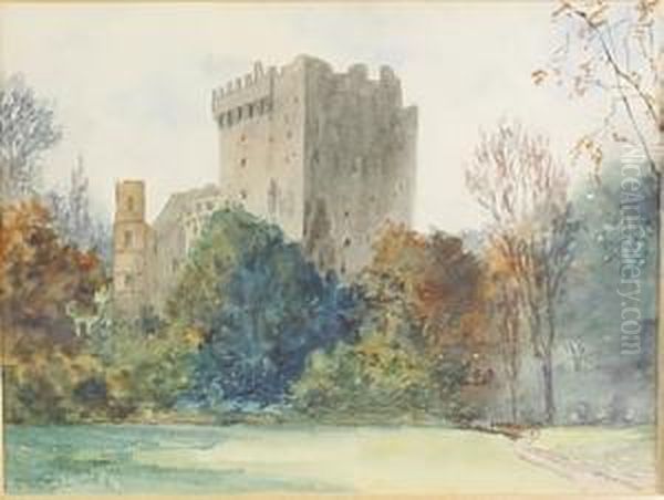 Blackrock Castle, Cork Oil Painting by Douglas Alexander