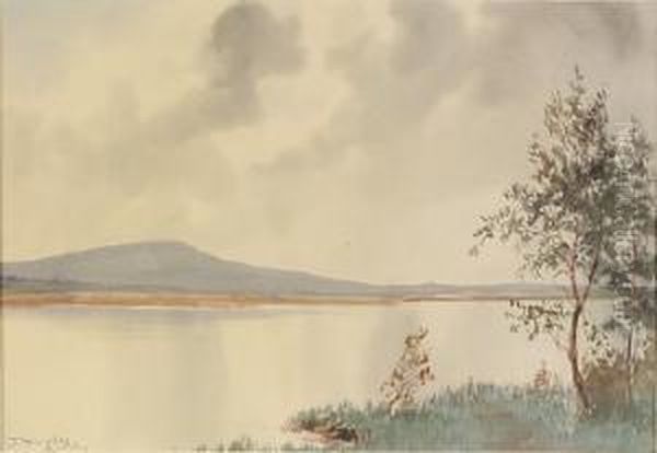 Lake View Oil Painting by Douglas Alexander