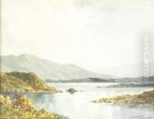 An Inlet On Lough Corrib Oil Painting by Douglas Alexander