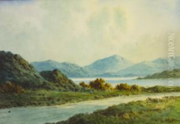 On The Road To Killorglin, Co Kerry Oil Painting by Douglas Alexander