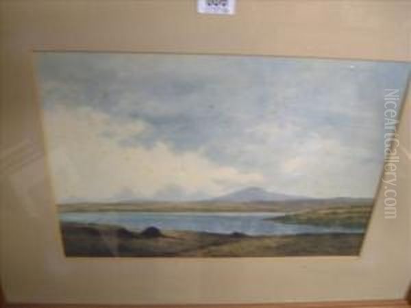 Amoorland View Oil Painting by Douglas Alexander