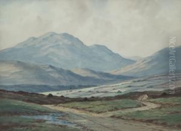 Among The Mountains Nr Westport Co Mayo Oil Painting by Douglas Alexander